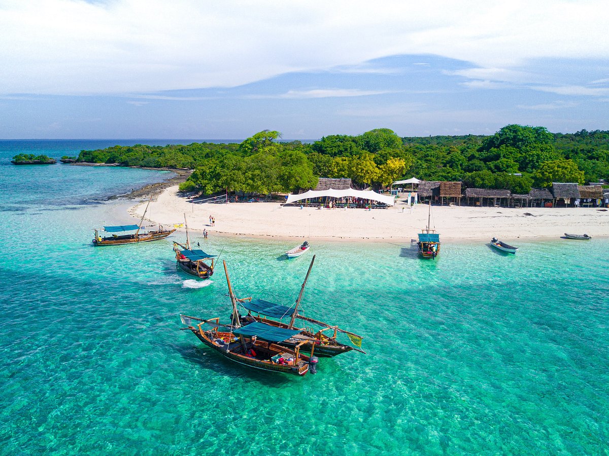 Best Things To Do In Zanzibar Top Activities