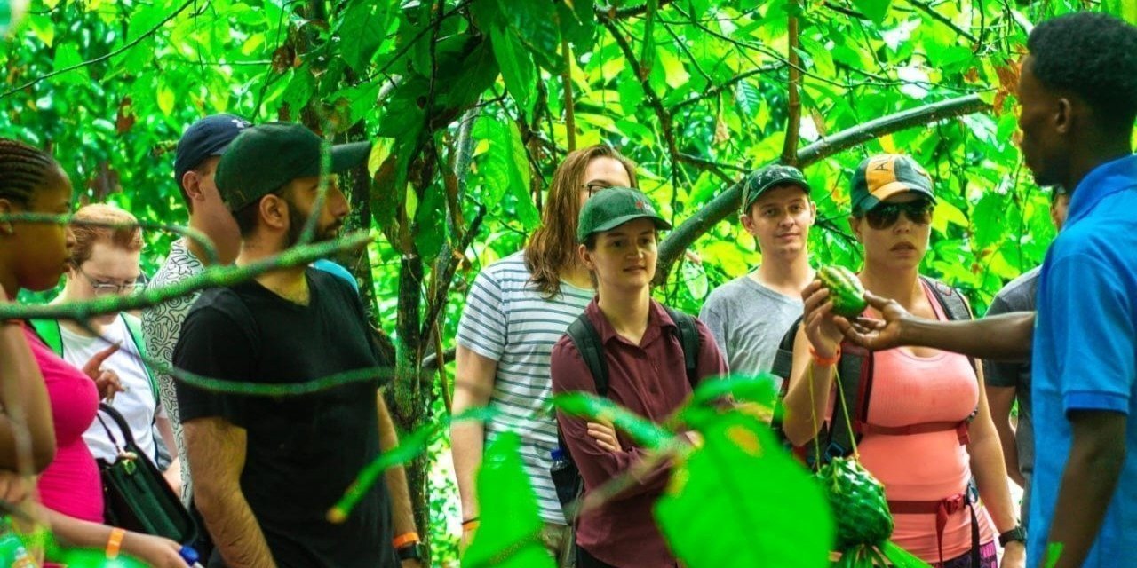 Tour guide holding fresh clove on a spice Farm in Zanzibar