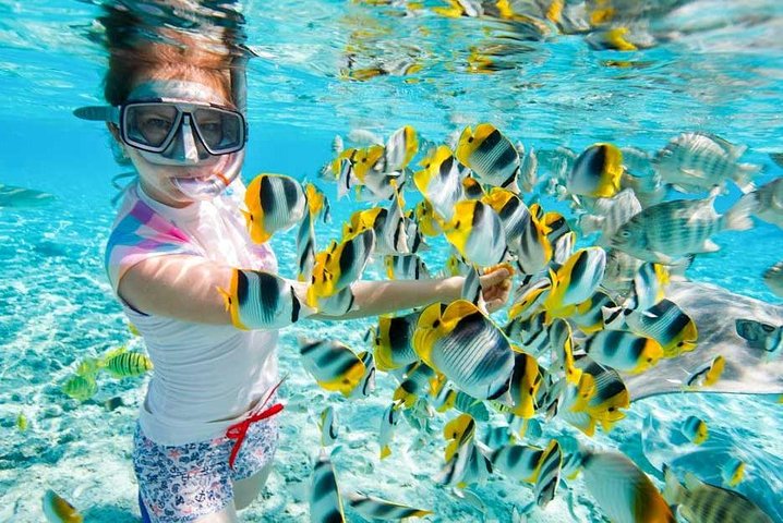 safari blue tour Zanzibar snorkeling spot where colorful fish, stunning coral reef
