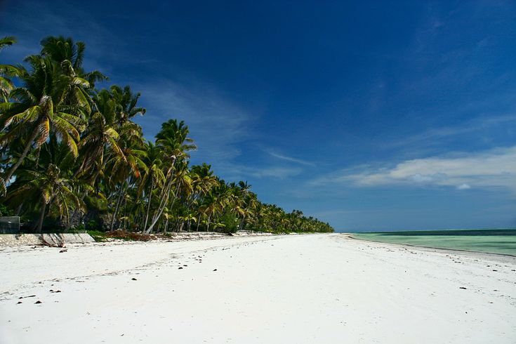 best walking along the empty beach at Bwejuu, Zanzibar.