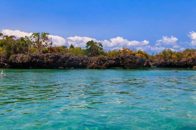 safari blue tour at natural swimming pool