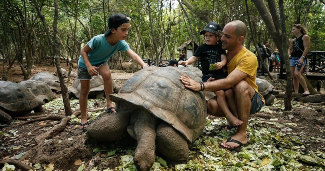 Children enjoy giant tortoises on Prison Island