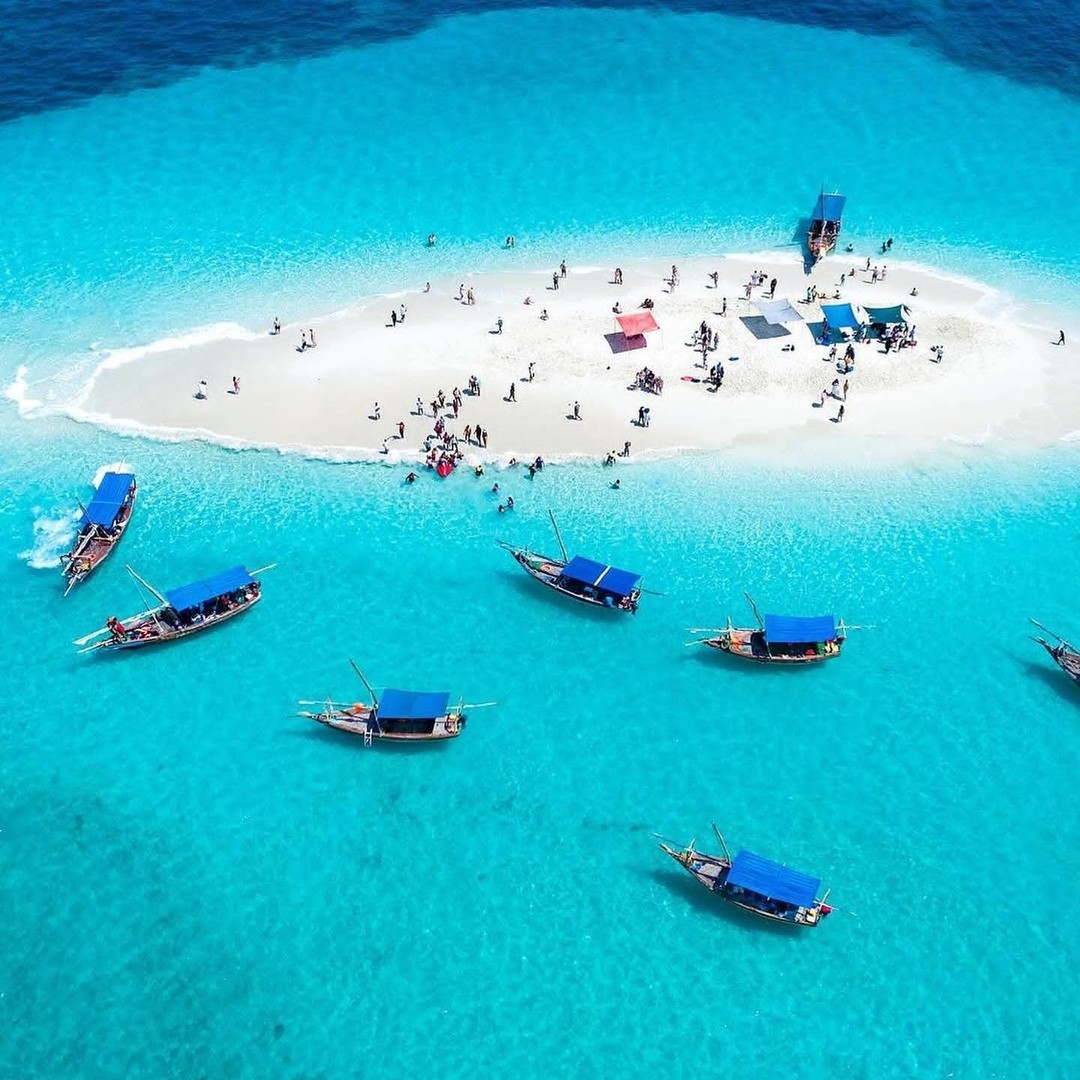 most adventure tour in Zanzibar blue safari enabling to sail on traditional dhow