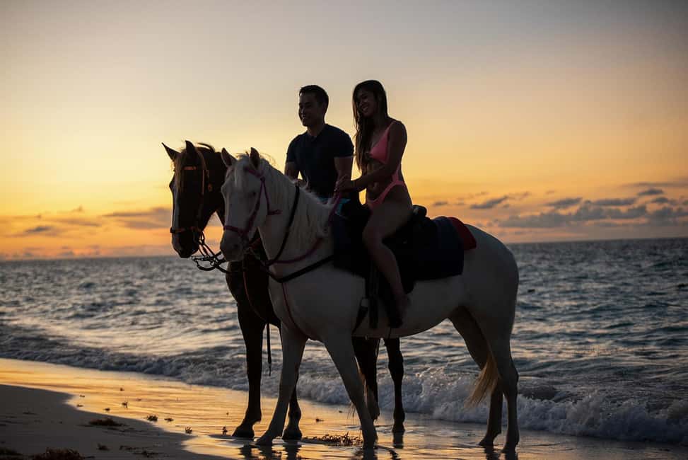 horseback riding on the beach in Zanzibar
