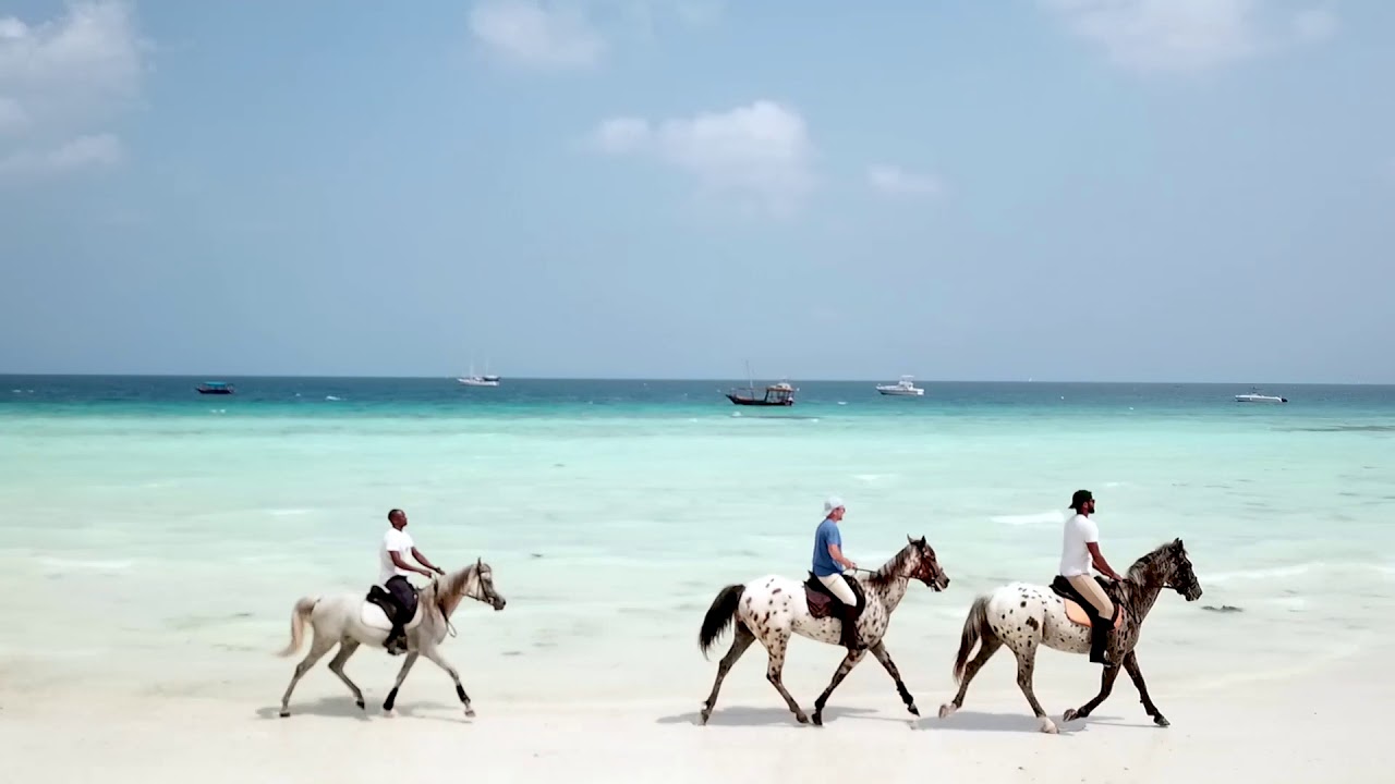 horseback riding on the beach in Zanzibar at nungwi