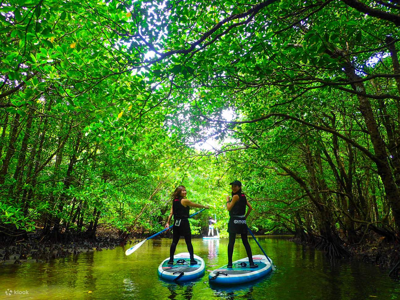 best eco-friendly activities in Zanzibar mangrove kayak