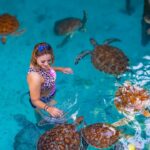 swimming with turtles in sanctuary