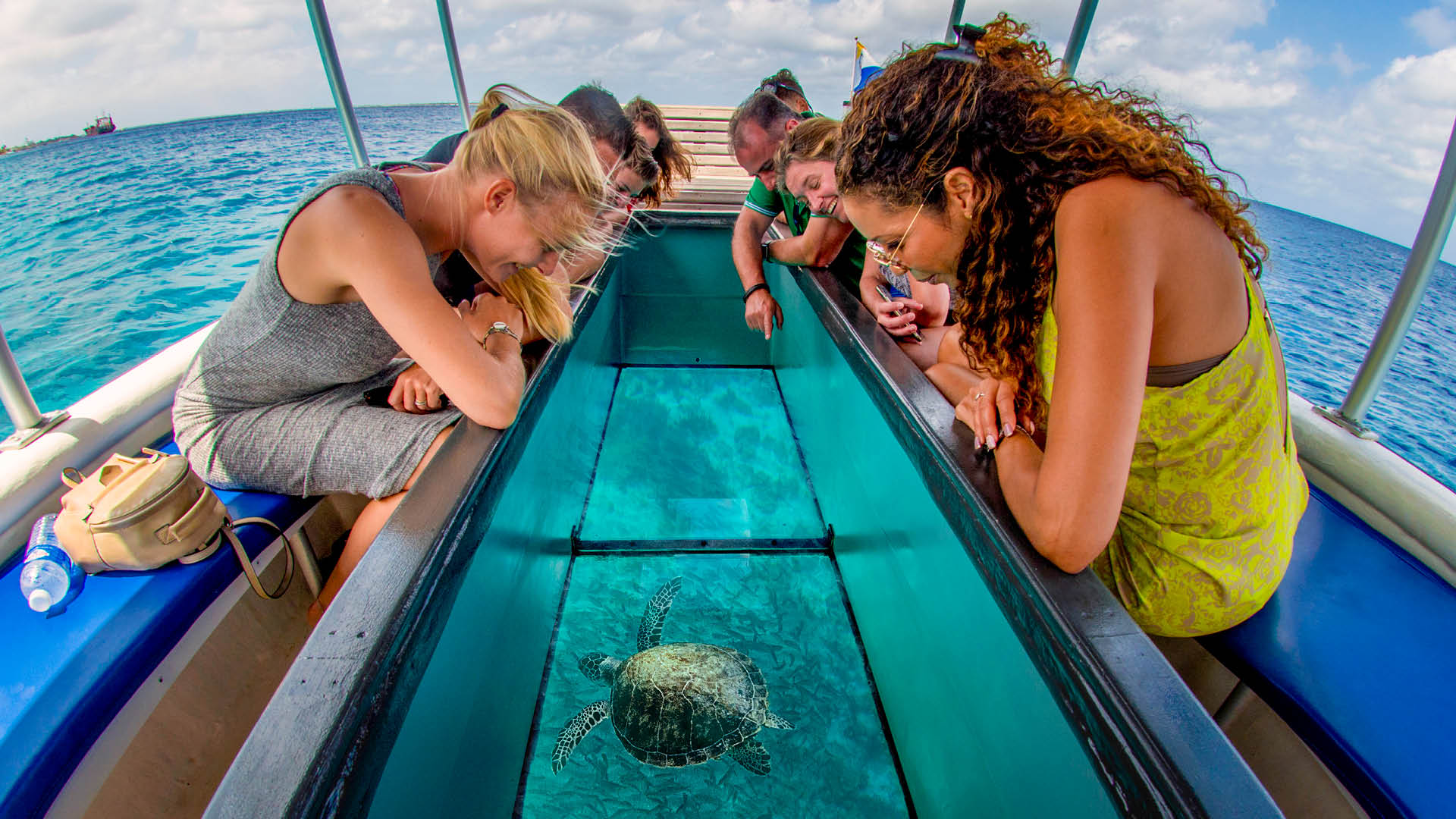non swimmers ideal to see coral reefs and colorful fishes glass bottom boat