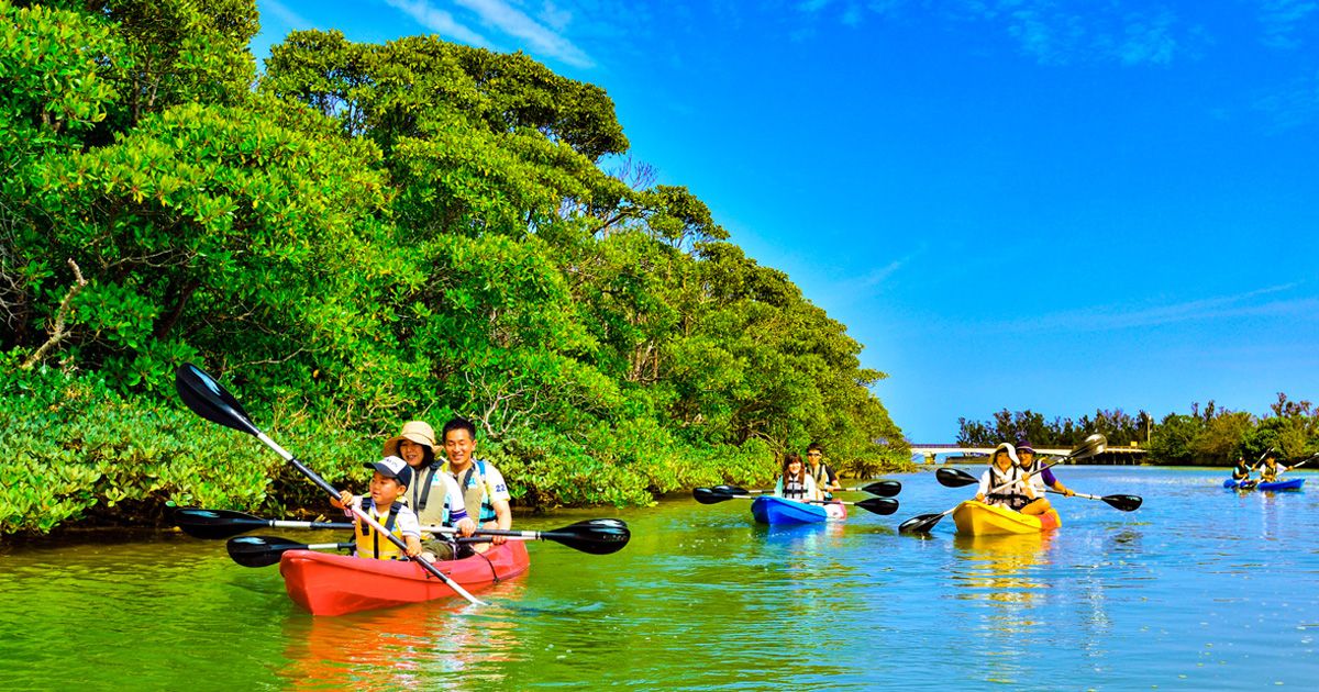 best mangrove tours in Zanzibar paddle with local community 