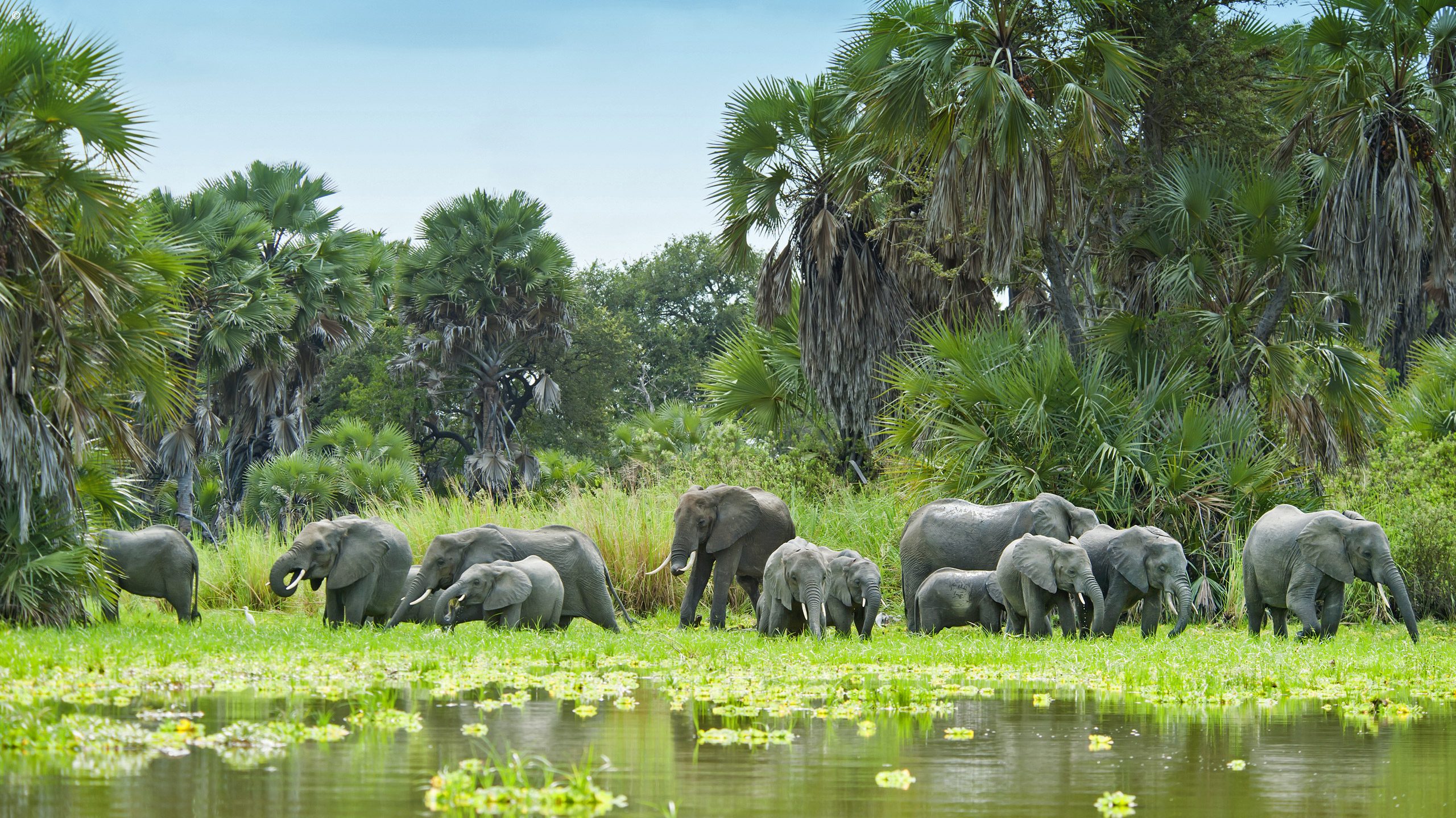 Best day trips from Zanzibar to mainland Tanzania wetness wildlife