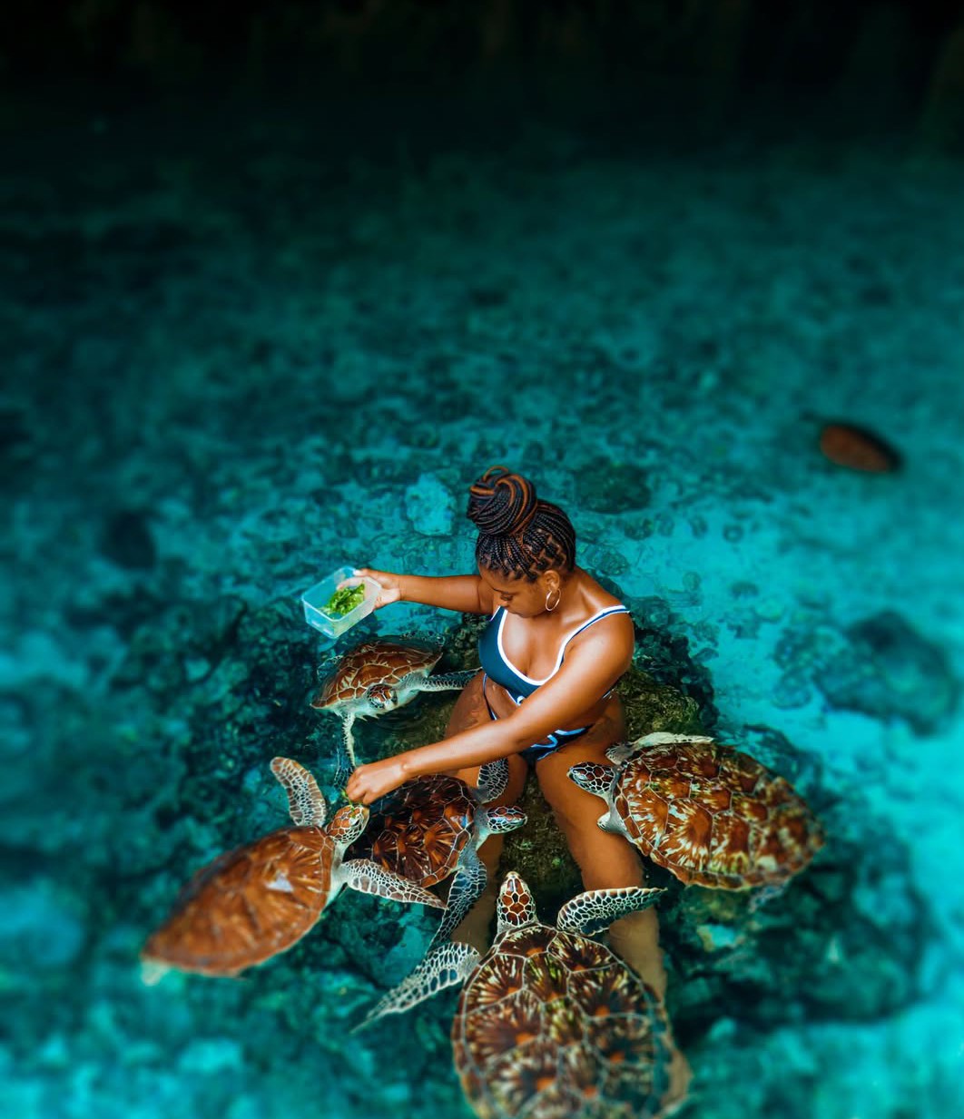 les plus beaux endroits à photographier à Zanzibar